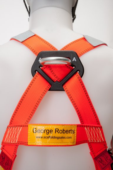 RidgeGear RGH2 Scaffold Harness
